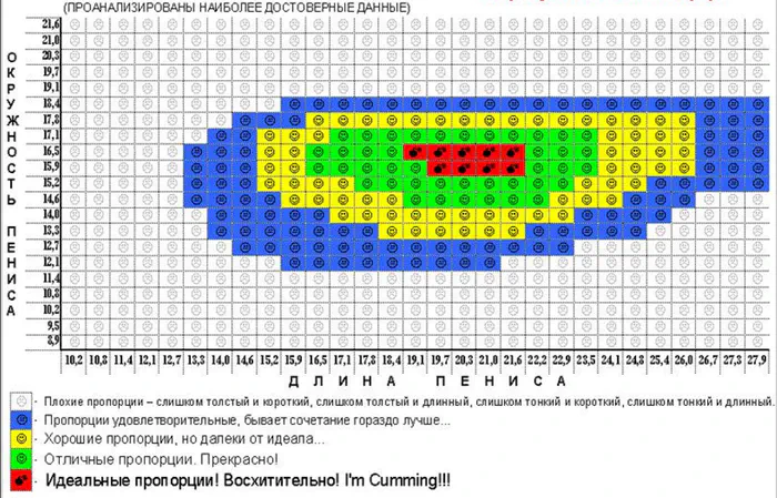 Размер члена: статистика, нормы и самый большой член в мире