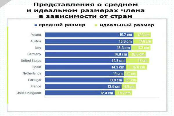 Размер члена: статистика, нормы и самый большой член в мире