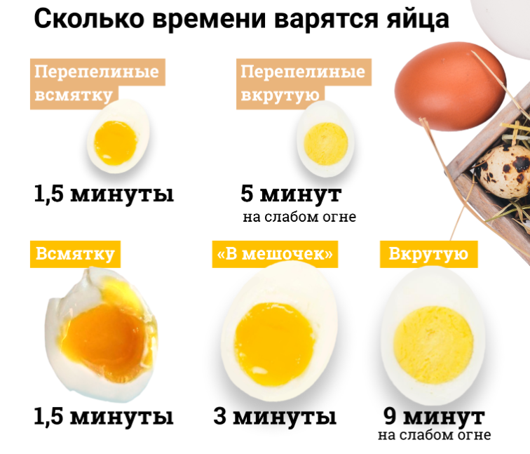 Как яйца влияют на потенцию?
