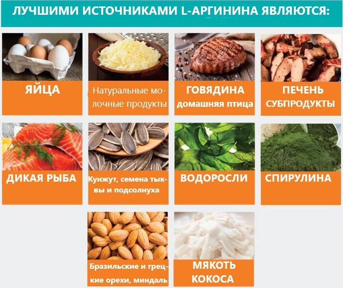 L-аргинин и потенция: как работает и каковы эффекты?